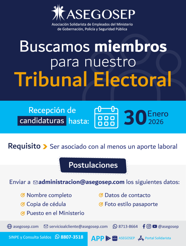 Tribunal-Electoral-2026